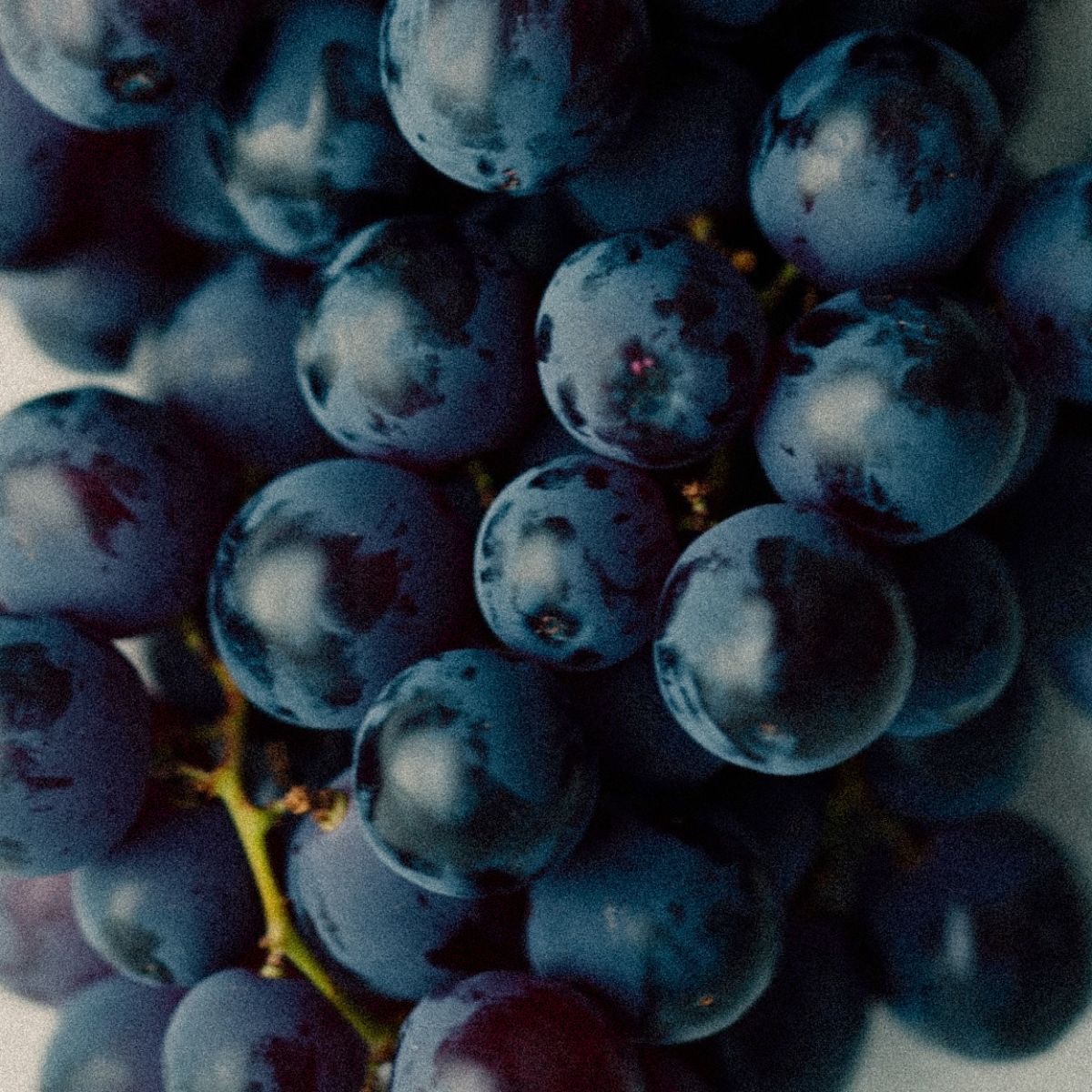 Anti inflammation hacks