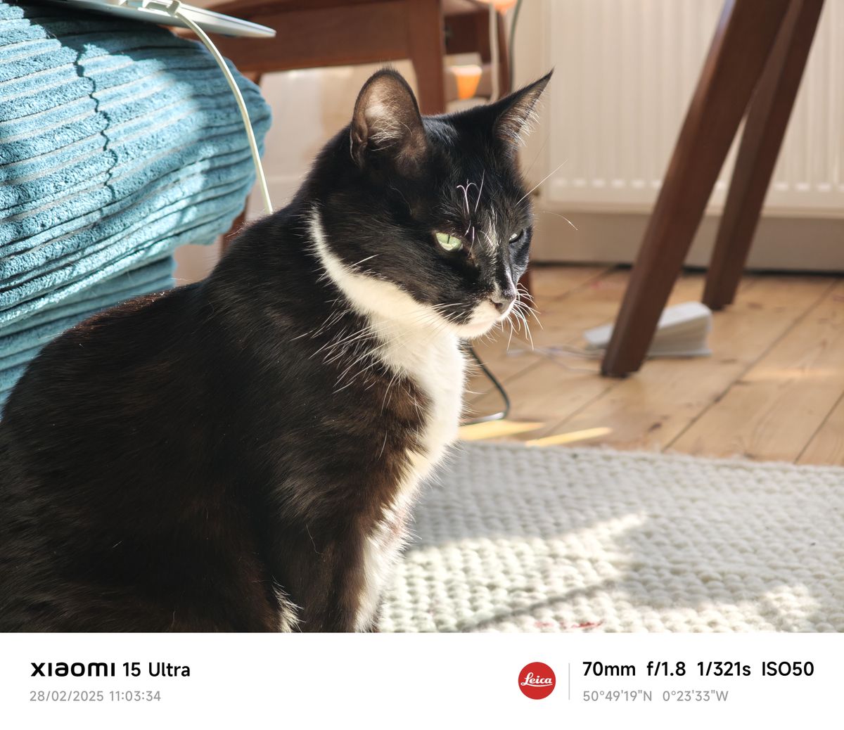 Xiaomi 15 Ultra camera sample portrait zero bokeh