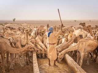 Travel Photographer of the Year Awards 2022 winners