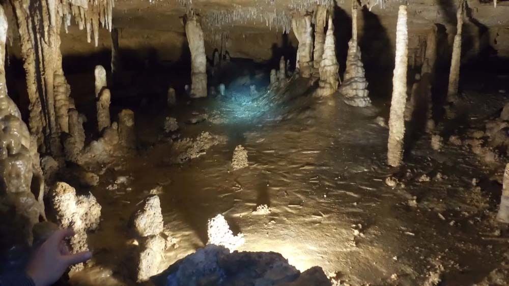 A cave in Indiana where scientists sampled for a study on ancient earthquakes.