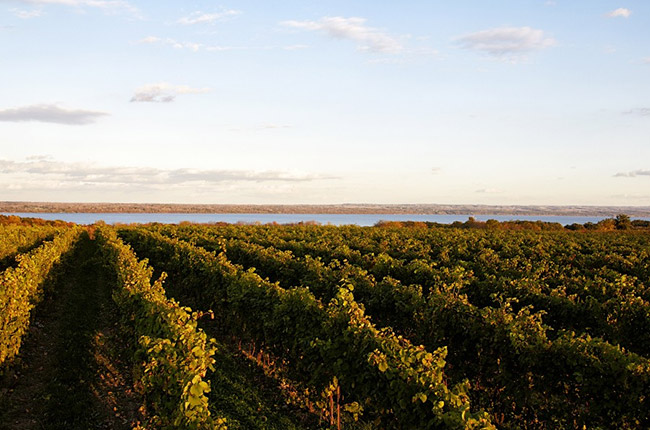 Finger Lakes wine tour, Wiemer