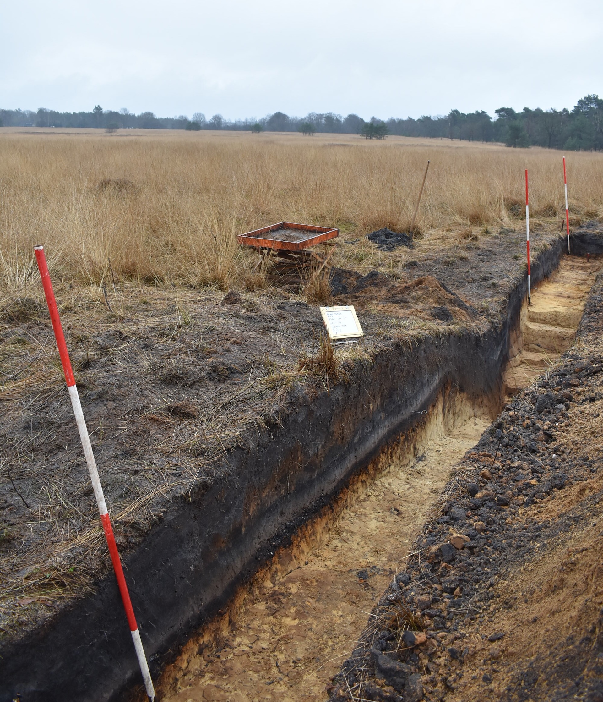 a photo of an excavated trench in a field
