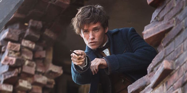 Newt Scamander Edie Redmayne Fantastic Beasts and Where to Find Them