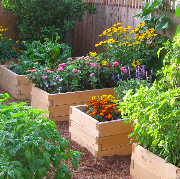 Garden family raised