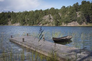 Swedish lakehouse period living