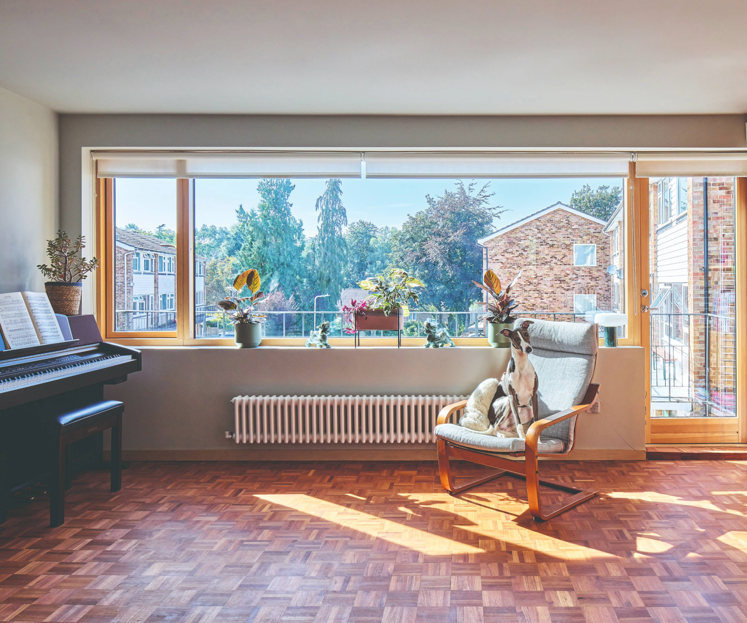 Living room, including a large window and door leading onto a terrace, a piano, and a dog sitting on a chair