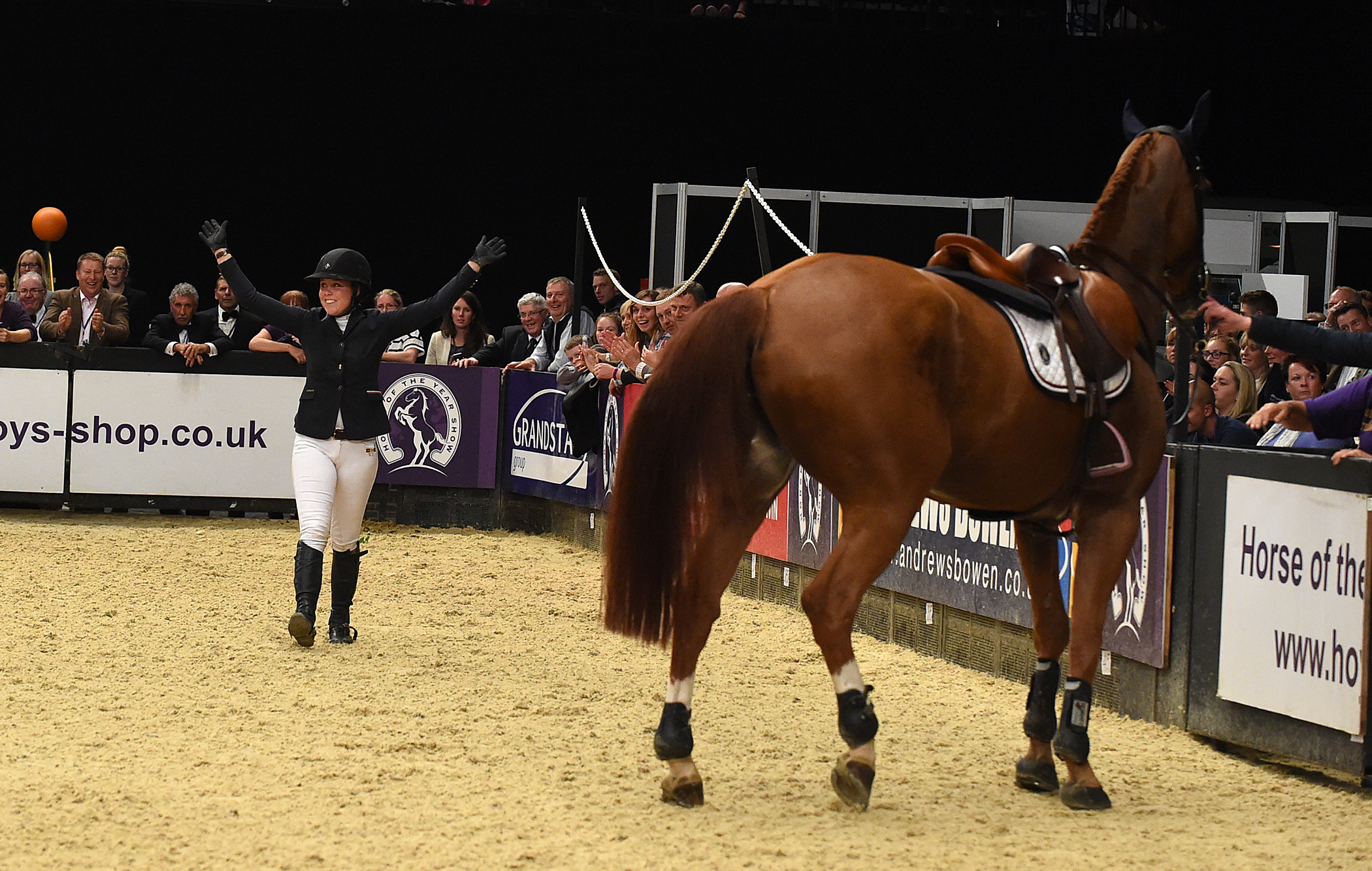 HOYS on 10 10 2015