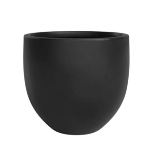 A large modern black indoor planter