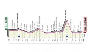 Stage 12 - Giro d'Italia: Benedetti wins stage 12