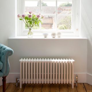 White room with white radiator underneath a window with vase of flowers on the windowsill