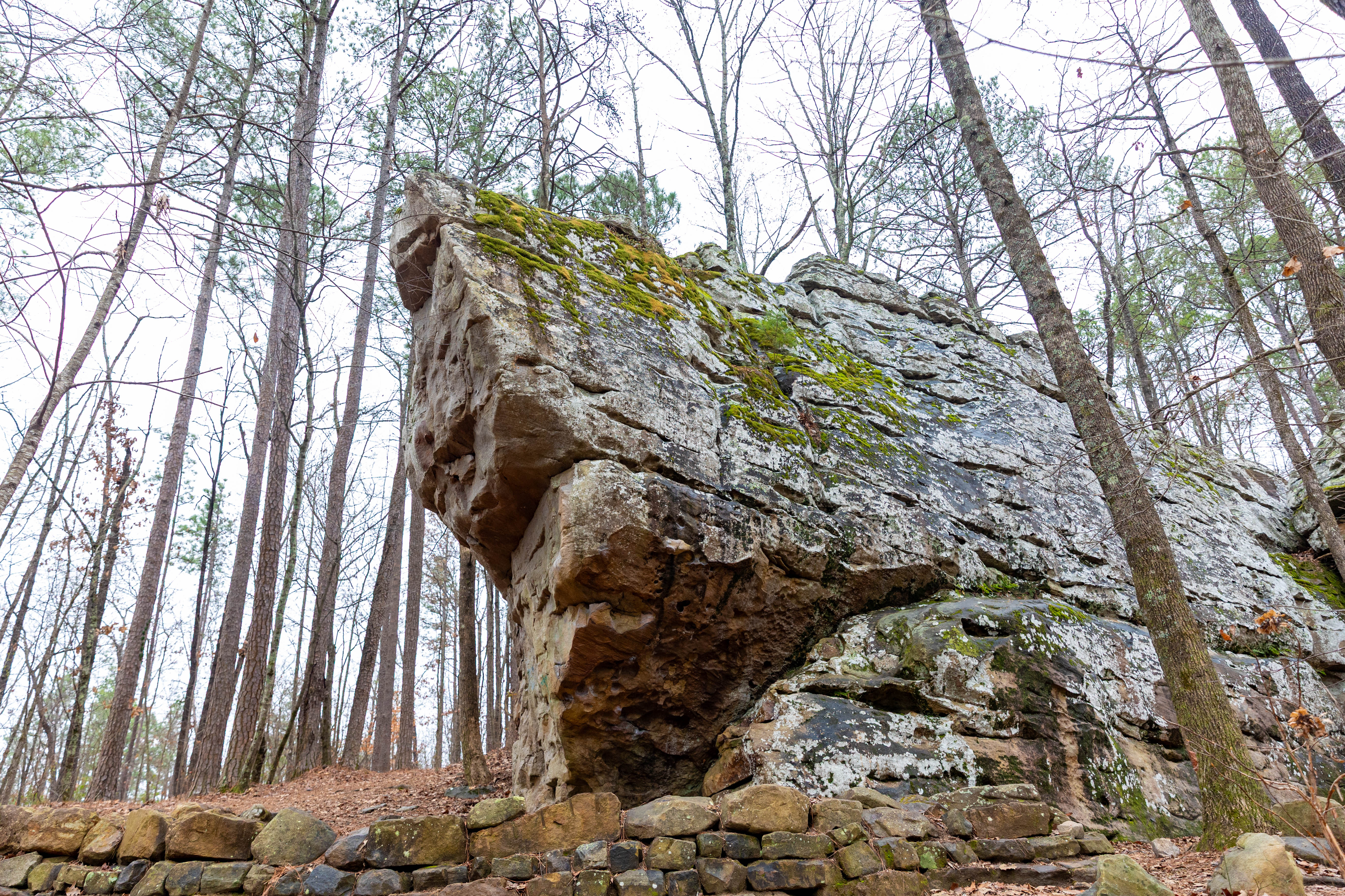 GuruShots - Nature&rsquo;s Masterpiece 2026