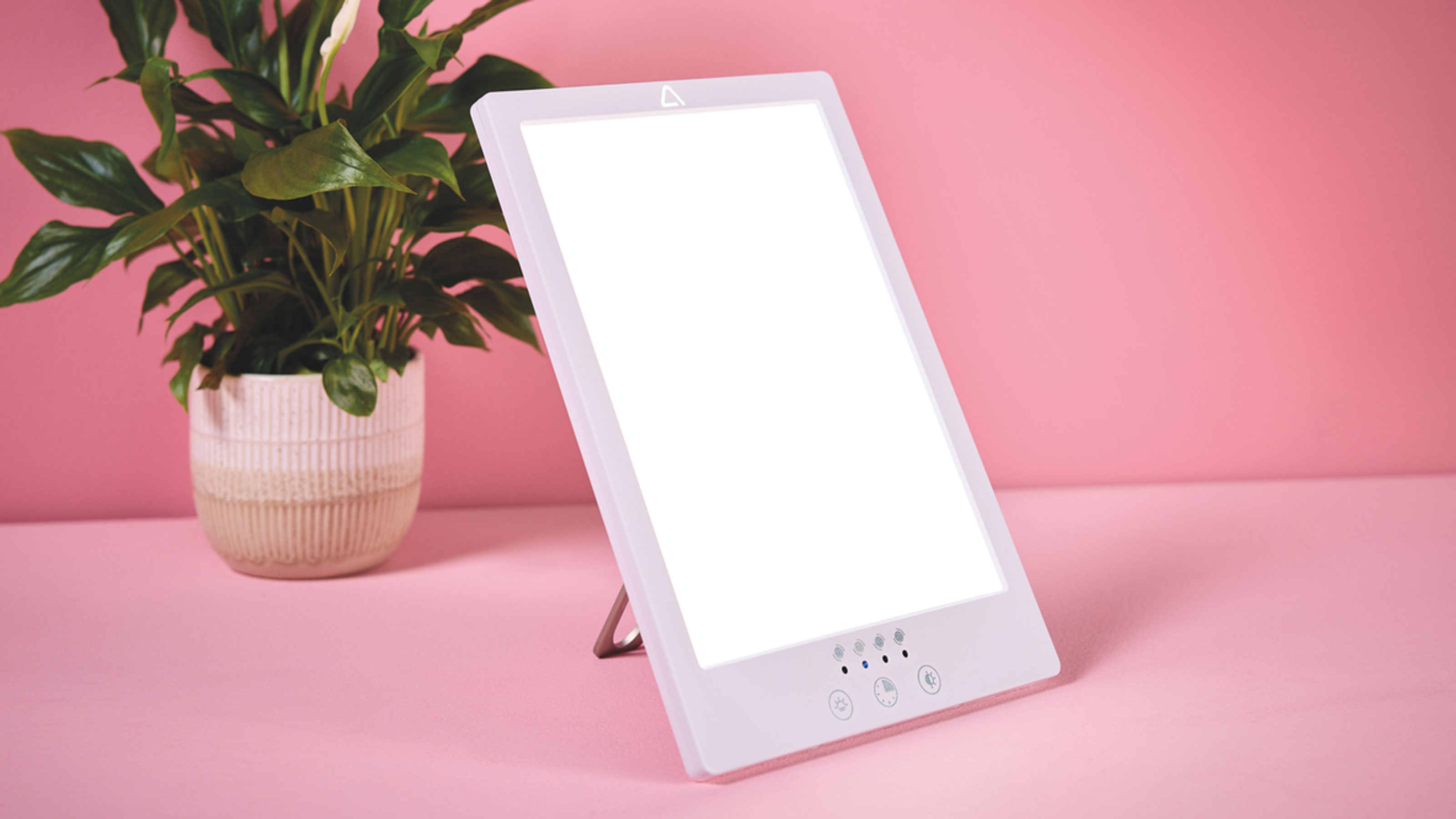 Aldi wellness lamp on a pink backdrop