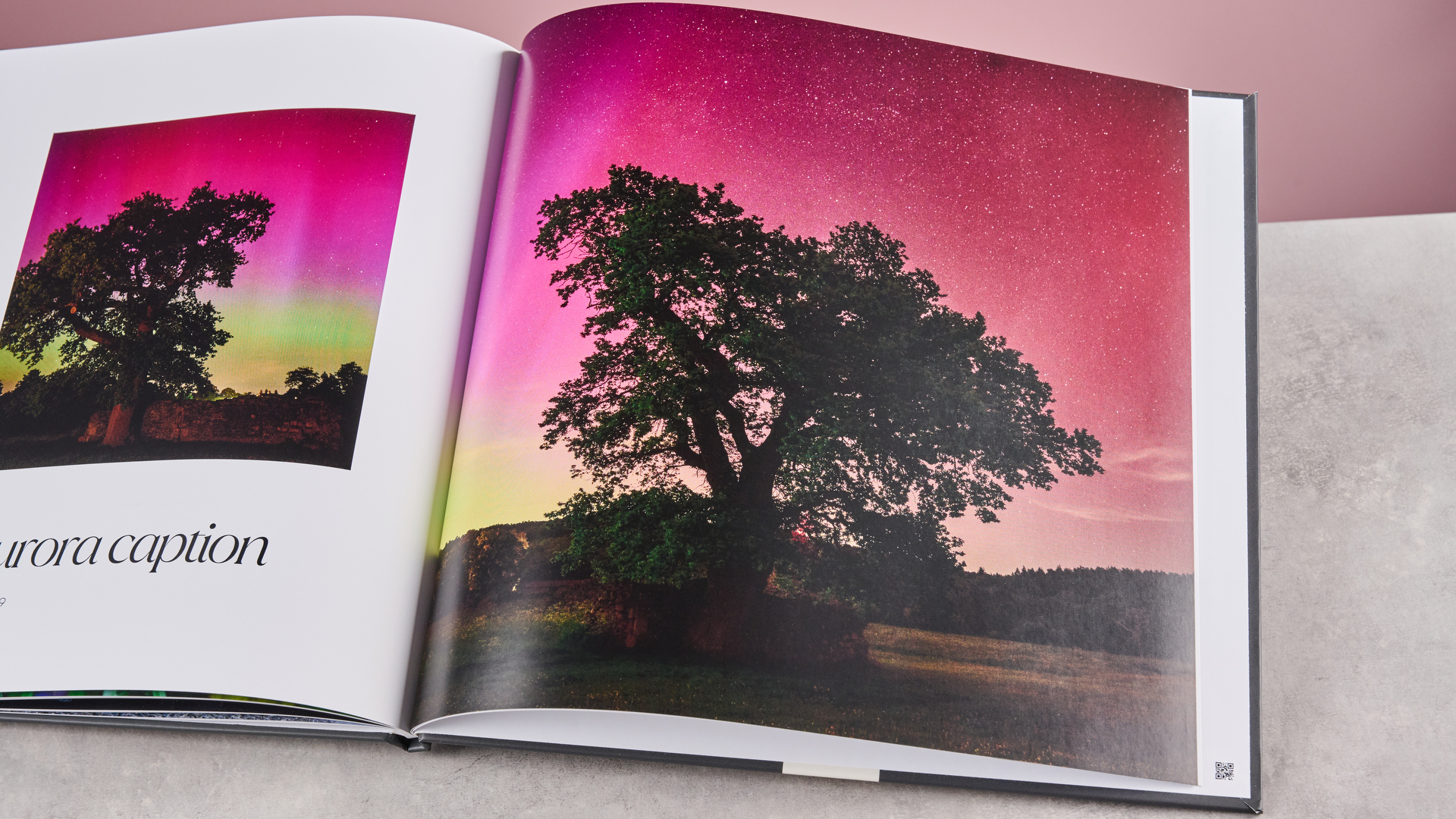 A page from the TechRadar Papier photo book, showing a tree in front of an aurora.