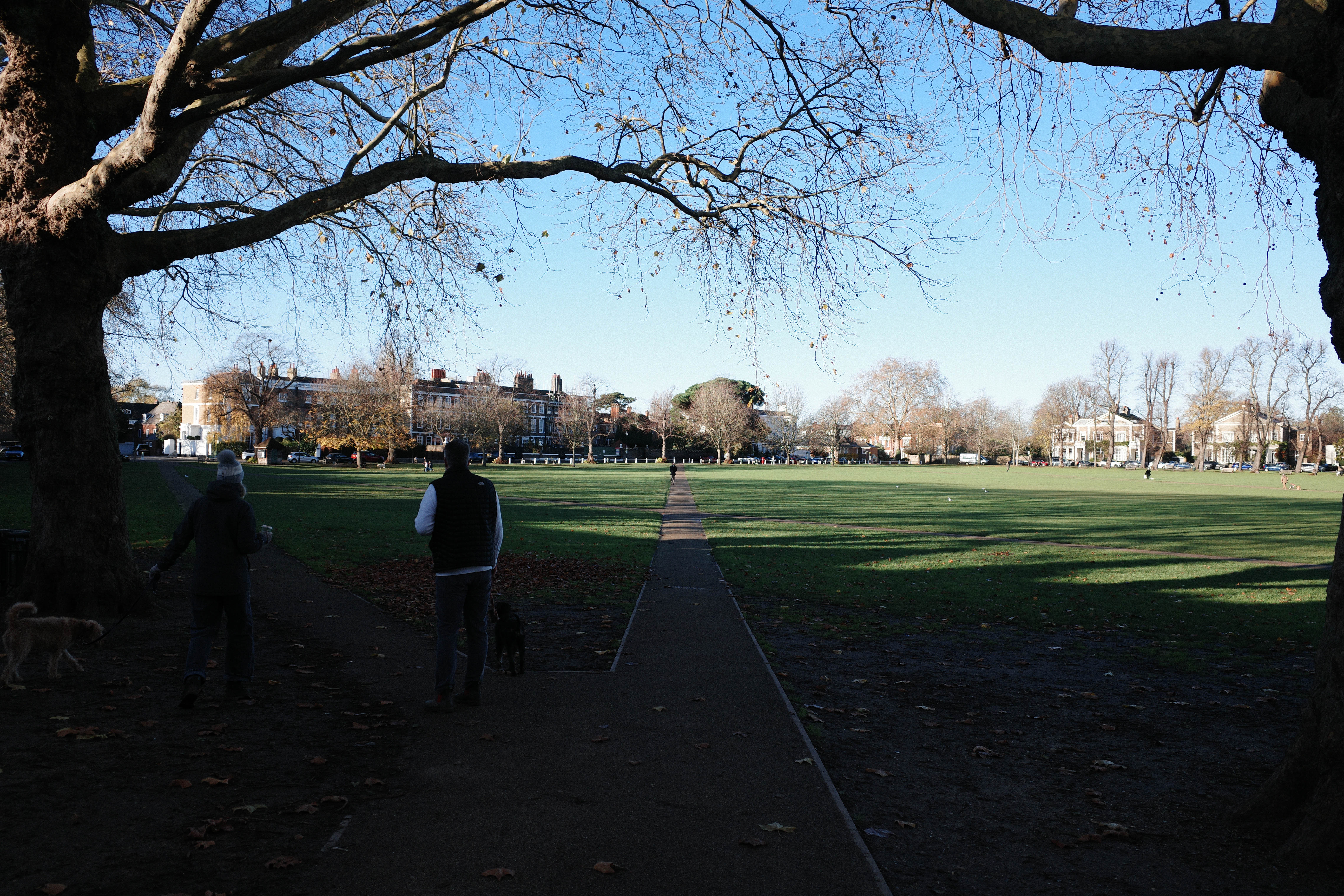 A view across a wide green space in Richmond London