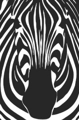 Zebra-Icon