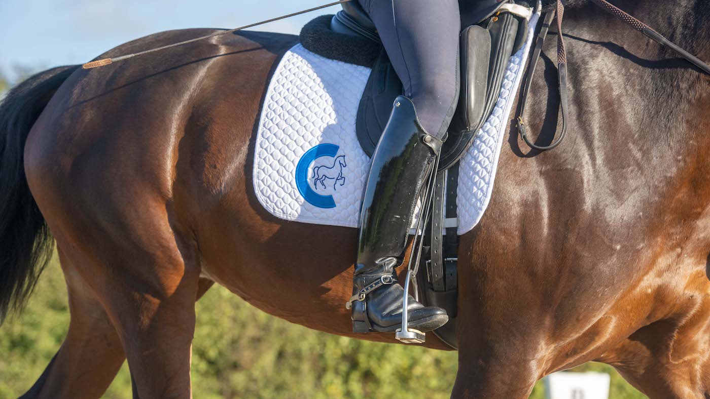 Close-up of rider's leg on horse