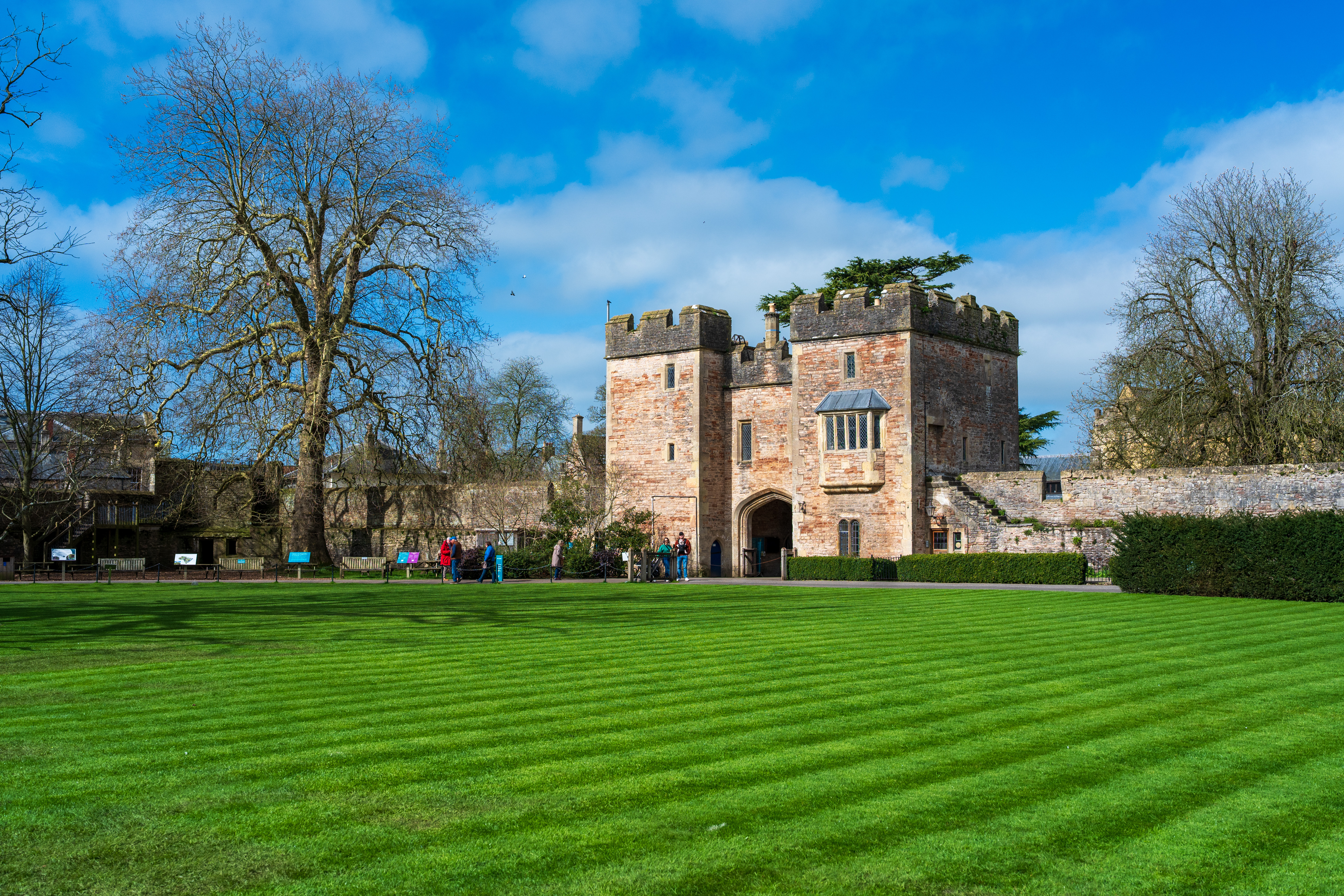 Viltrox AF 35mm f/1.8 Evo II sample shot