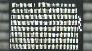 Researchers found about 400 ushabti funerary figures in the man's tomb.