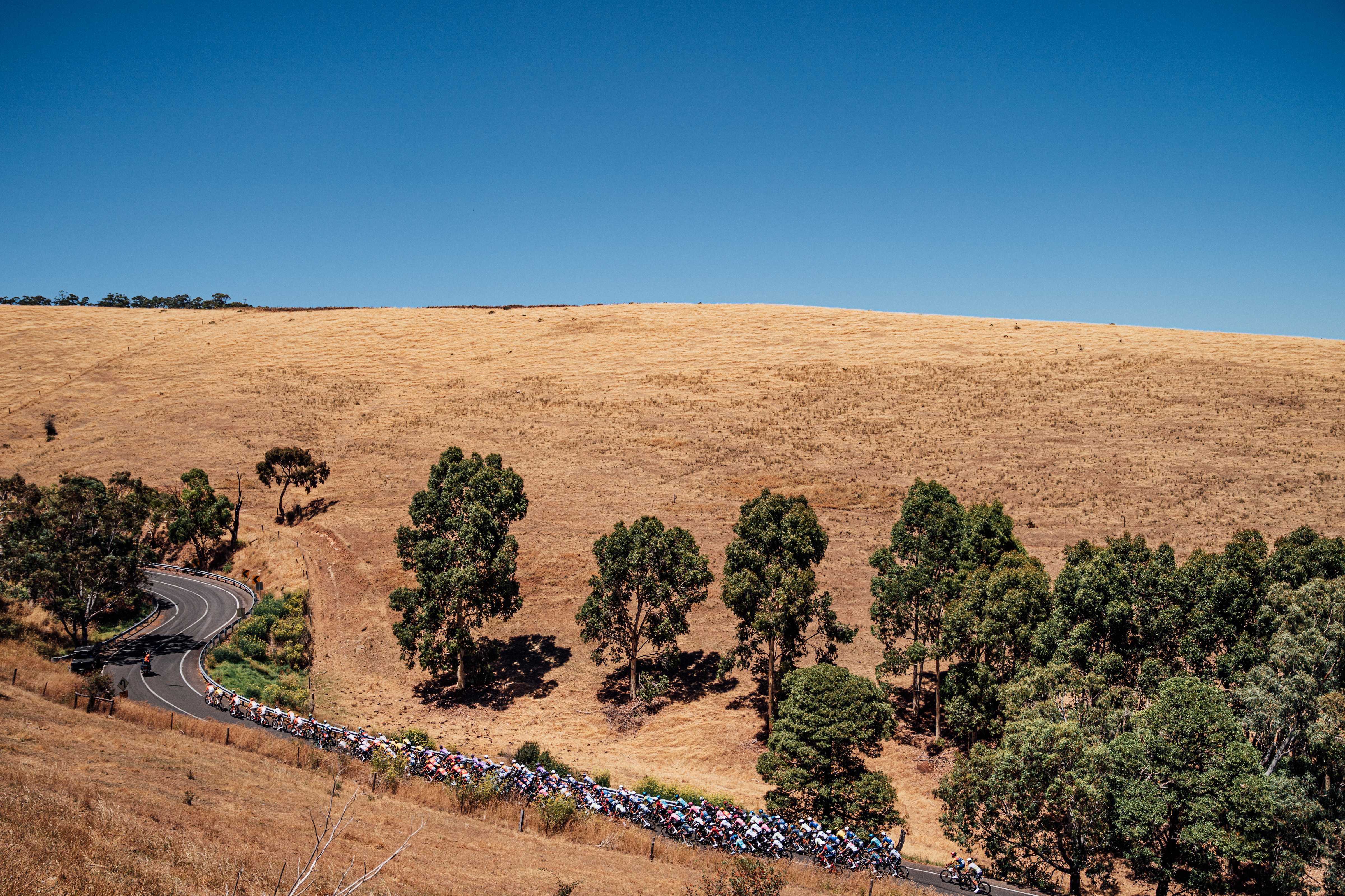 The peloton rides through an arid landscape at the Tour Down Under