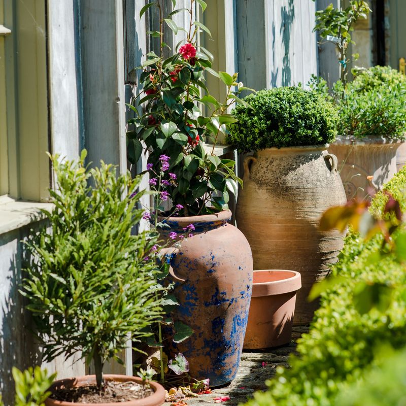 Step inside this beautiful North London terraced house built in the ...