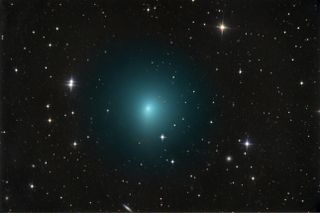 Comet 41P/Tuttle-Giacobini-Kresák shines a brilliant green in this photo by astrophotgrapher Chris Schur on March 24, 2017. The comet made its closest pass by Earth on April 1.