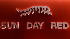 Tiger Woods' Sun Day Red logo.