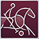 polo-logo.png