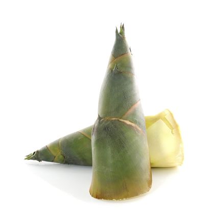 Two Bamboo Shoots