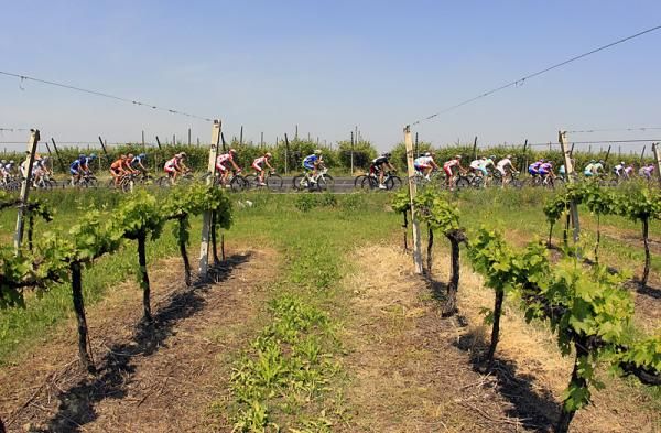 The Giro peloton en route from Modena to Fano during stage 5.