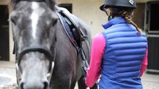 Rider putting riding kit on horse