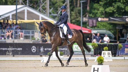 Pictured German Olympic rider Julia Krajewski in the Luhm&uuml;hlen Horse Trials dressage CCI4*-S with Uelzener's Nickel.