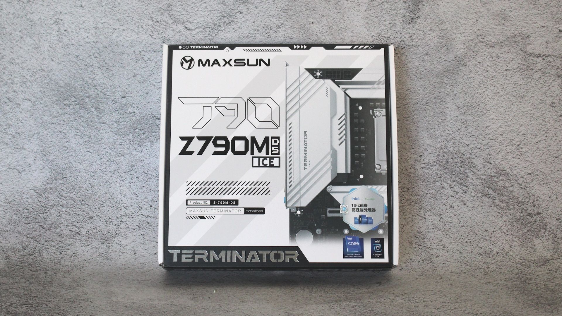 Maxsun Terminator Z790M D5 Ice Review: White Micro ATX with five M
