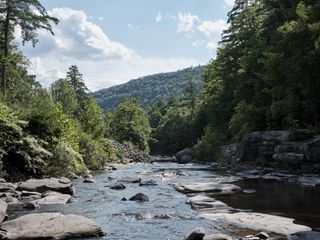 The Esopus Creek runs past green trees in the Catskills of New York