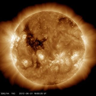 This photo from NASA's Solar Dynamics Observatory spacecraft, snapped on June 1, 2012, captures what looks like Big Bird on the surface of the sun. The feature is actually a coronal hole, a dark area of the sun's upper atmosphere.