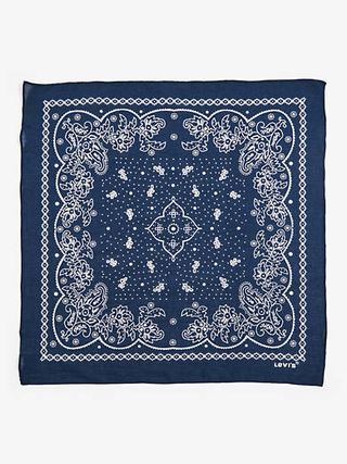 Paisley Bandana