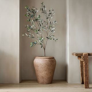 Faux Potted Black Olive Tree