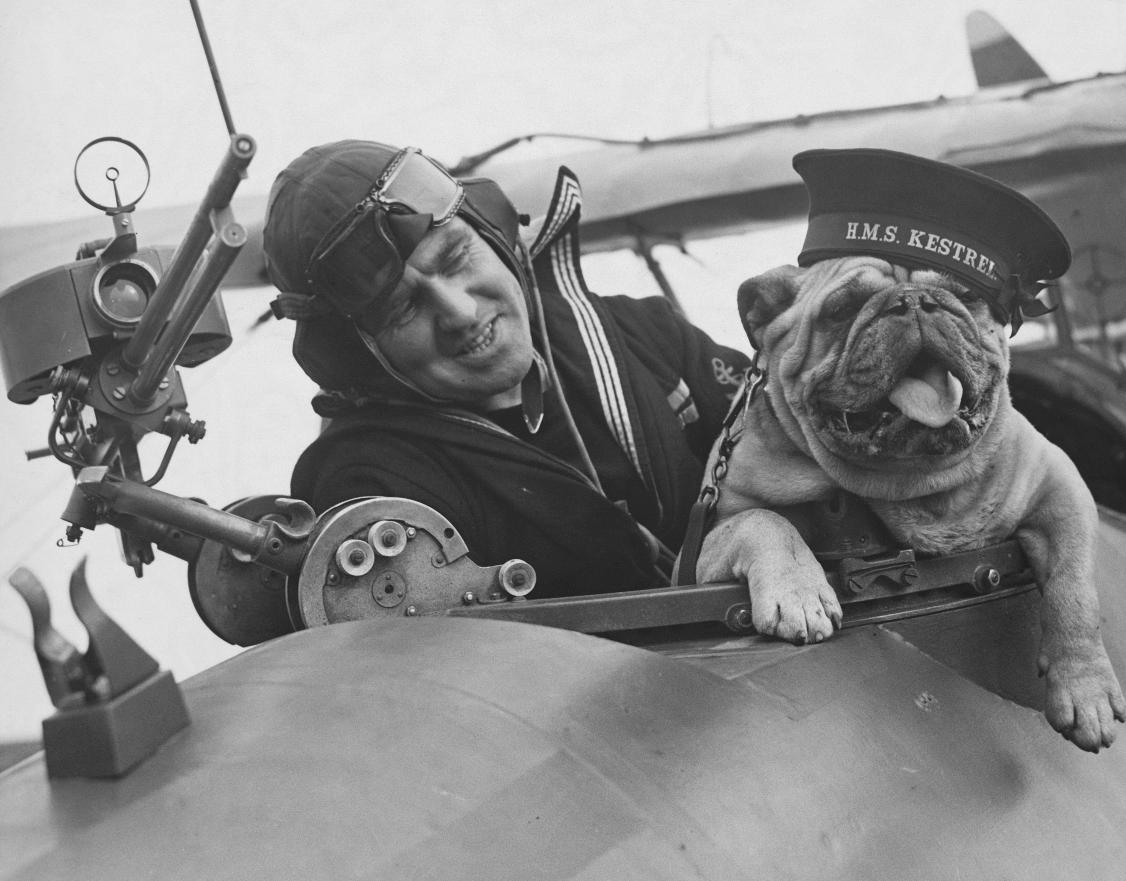 Black-and-white photograph of a bulldog wearing an HMS Kestrel sailor&amp;rsquo;s cap sitting in an aircraft cockpit beside an airman.