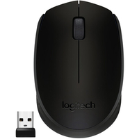Logitech M170 Wireless Mouse:  $12