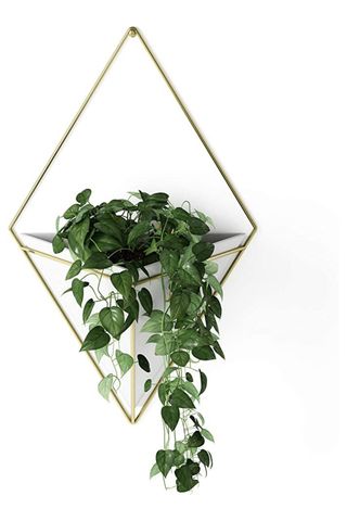geometric hanging wall planter