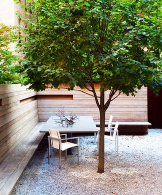 A small ecnlosed backyard with gravel, mature tree, and wood panel fence