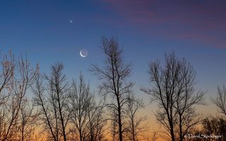 Moon and Venus Over Minot, ND