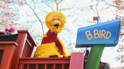 Sesame Street's Big Bird