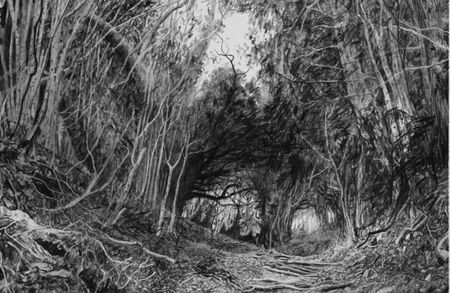 Hanging Hill by Stanley Donwood