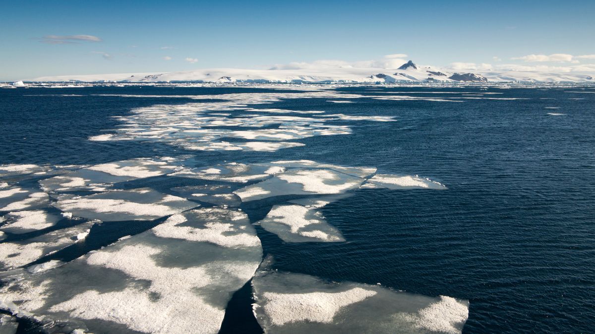 chunks of sea ice in blue water off the coast of antarctica, pictured in the background