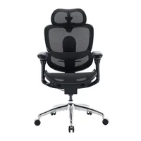 Sihoo Doro C300 Pro V2 Sihoo Doro C300 Pro V2