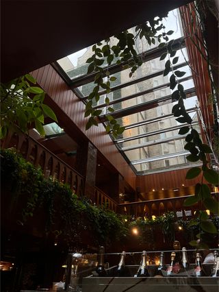 The glass ceiling at Petit Victor Hugo in Paris.