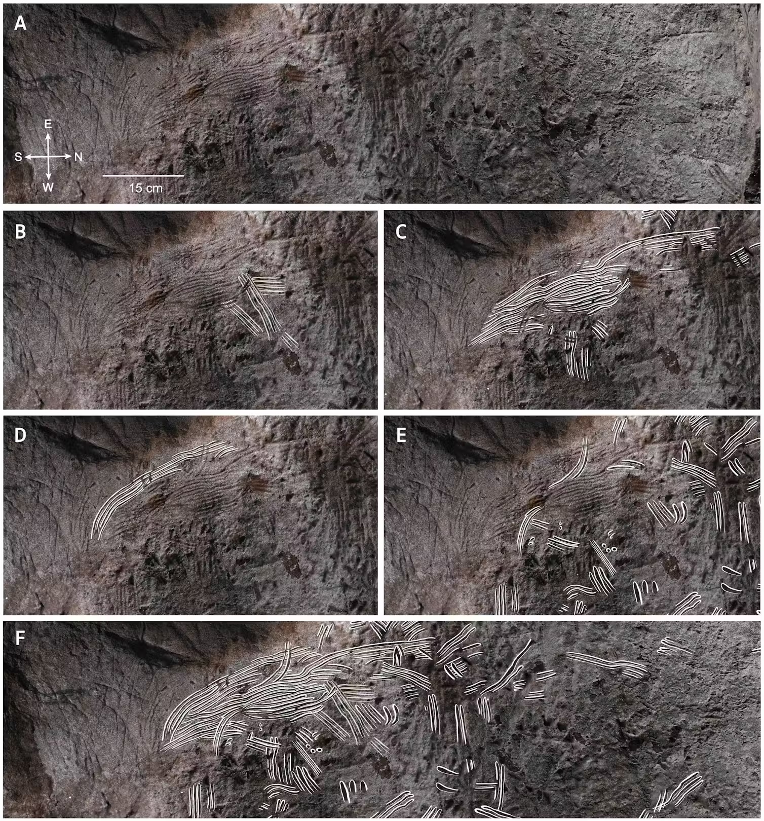 A selection of close-ups of the finger grooves