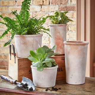 tag Baja Whitewashed Terracotta Planter