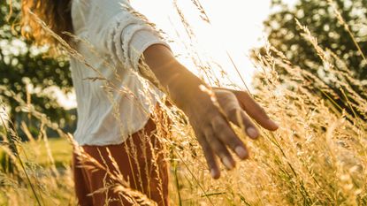 Woman running her hand through a wheat field