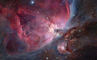 Trapezium Cluster and Surrounding Nebulae by Francsics 